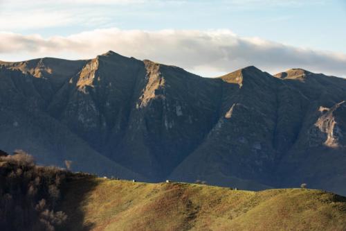 AHUSQUI-CHASSE-PALOMBE-PNR-MONTAGNE-BASQUE