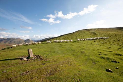 BORNE-ERROZATE-CIZE-PNR-MONTAGNE-BASQUE (1)