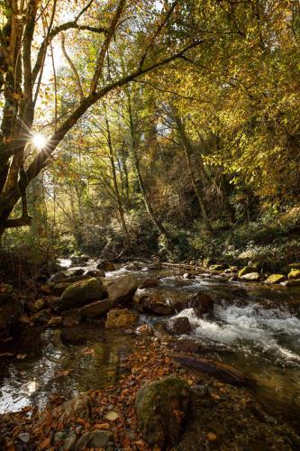 RIVIERE-HAIRAKO-ERREKA-BANCA-PNR-MONTAGNE-BASQUE
