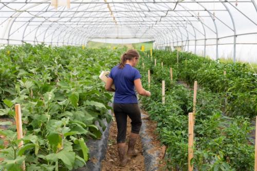 SCIC-GARROA-PNR-MONTAGNE-BASQUE-1