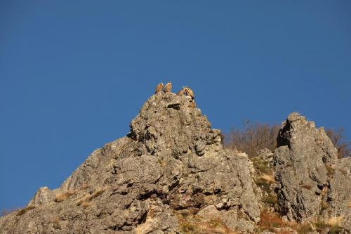 VAUTOUR-LEPEHERRI-BANCA-PNR-MONTAGNE-BASQUE